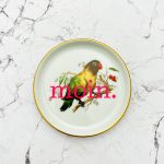 Wandteller Herr Fuchs moin Typo Vögel mini 10cm neon Papagei vintage