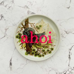 Wandteller Herr Fuchs ahoi Typo Vögel mini 10cm neon Auerhahn vintage