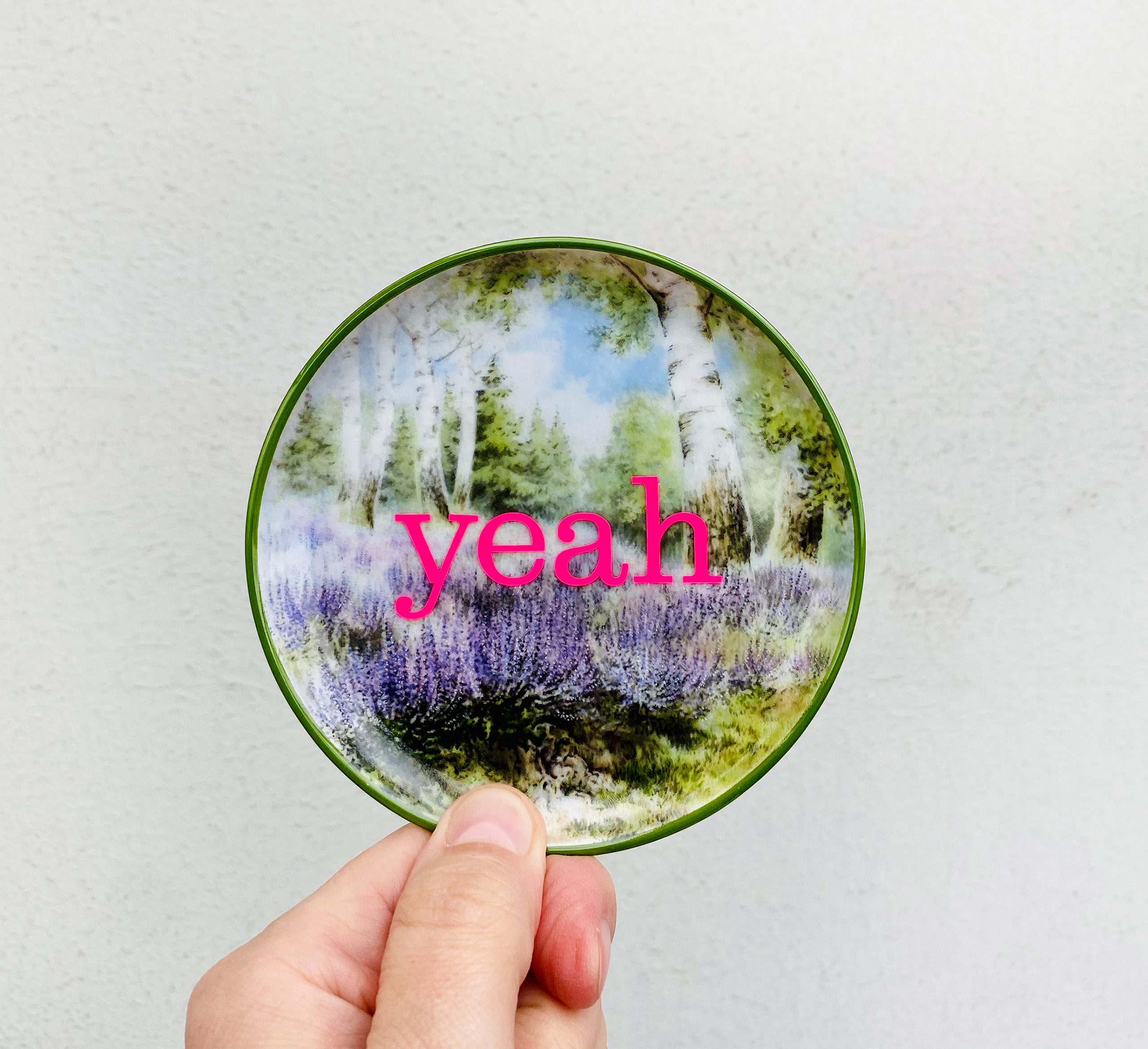 Wandteller Herr Fuchs Typo yeah grün Blume mini neonpink 10cm vintage Wohnen