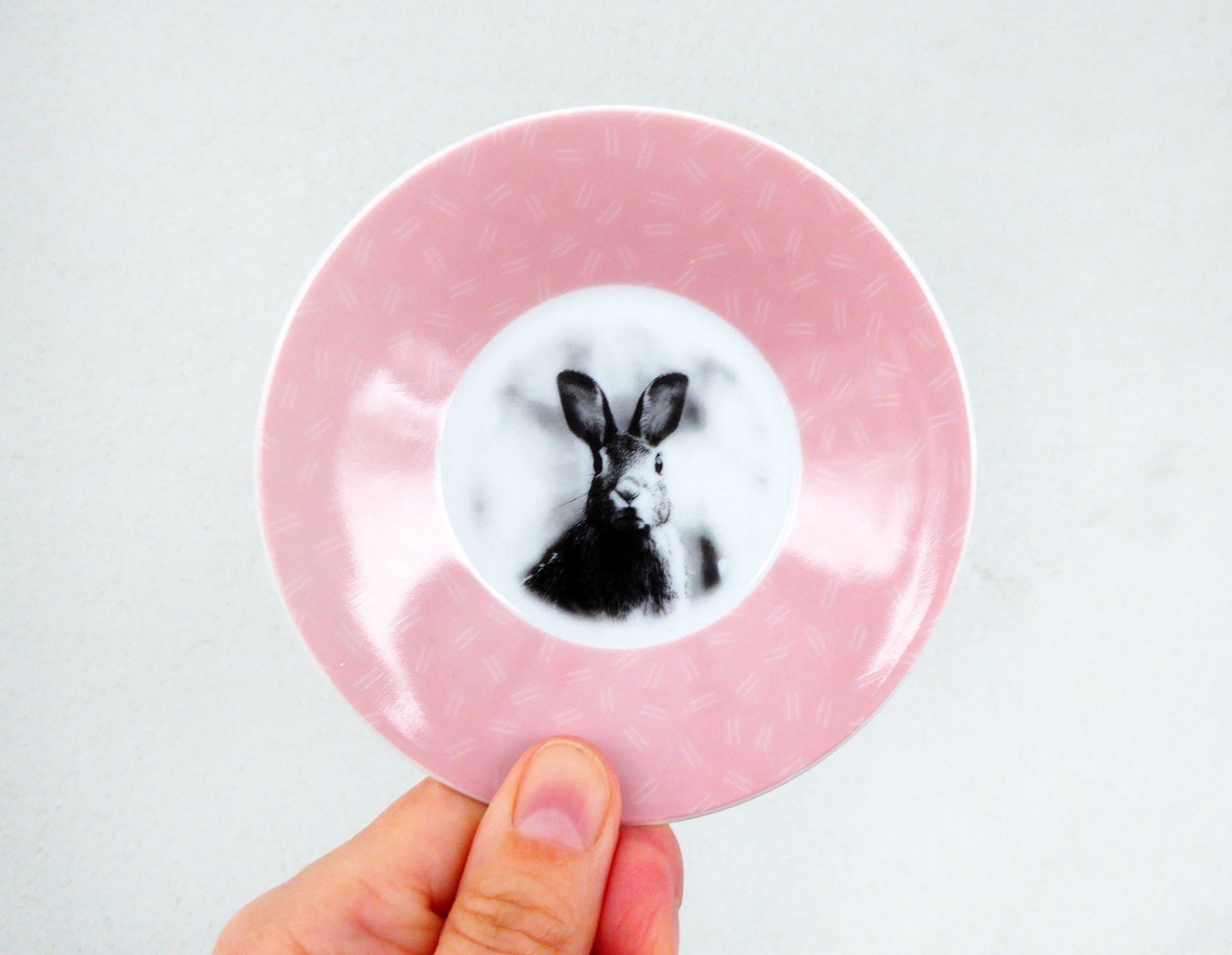 Wandteller Herr Fuchs Hase vintage Rosa Muster 10cm Wohnen – Bild 2