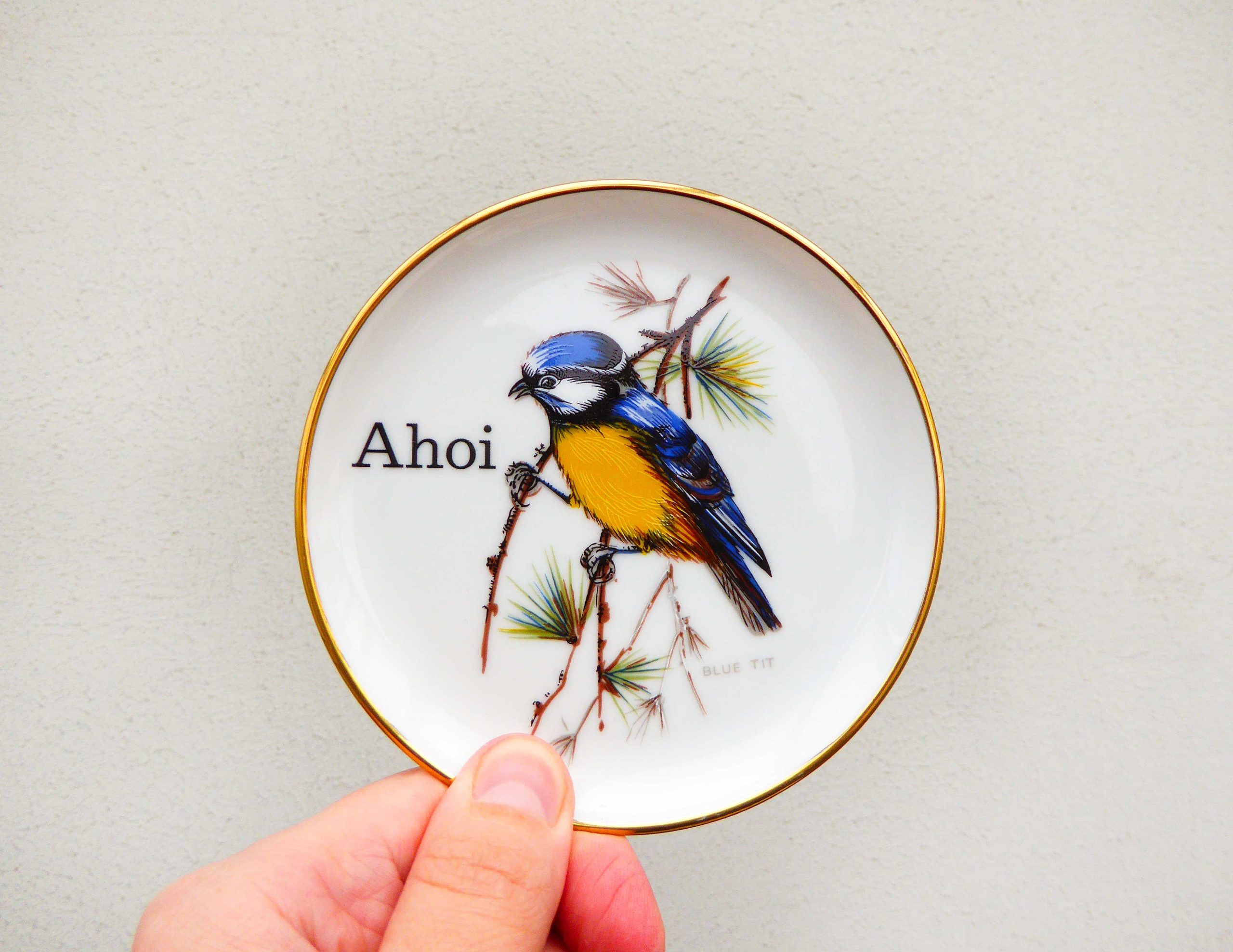 Wandteller Herr Fuchs Ahoi Typo Vogel mini Gold Blaumeise 10cm vintage Wohnen