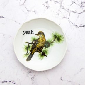 Wandteller Herr Fuchs yeah Typo Wohnen Vogel mini 11cm vintage grün Drosel