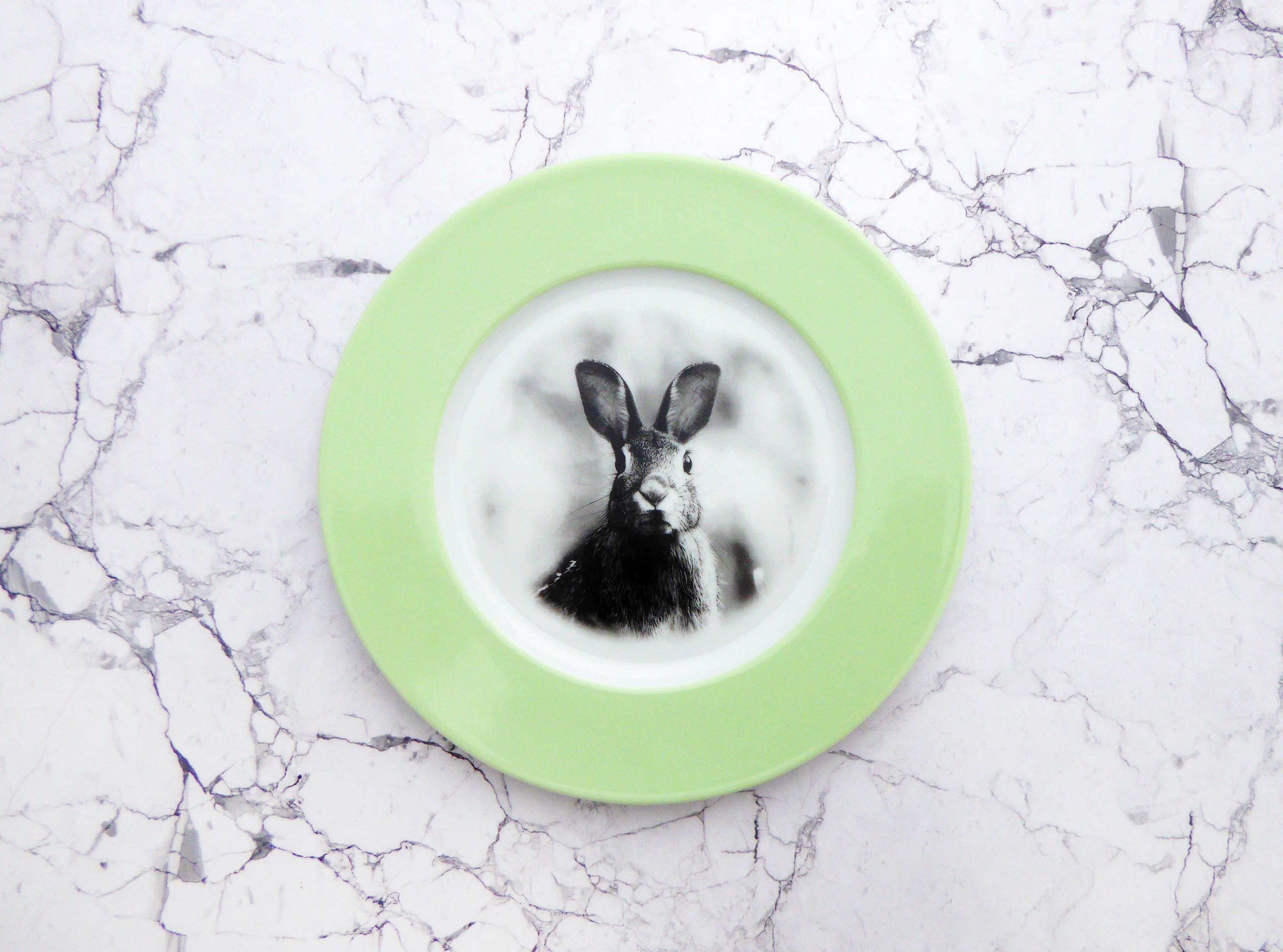 Wandteller Hase vintage Herr Fuchs Teller Wohnen 17cm Mint