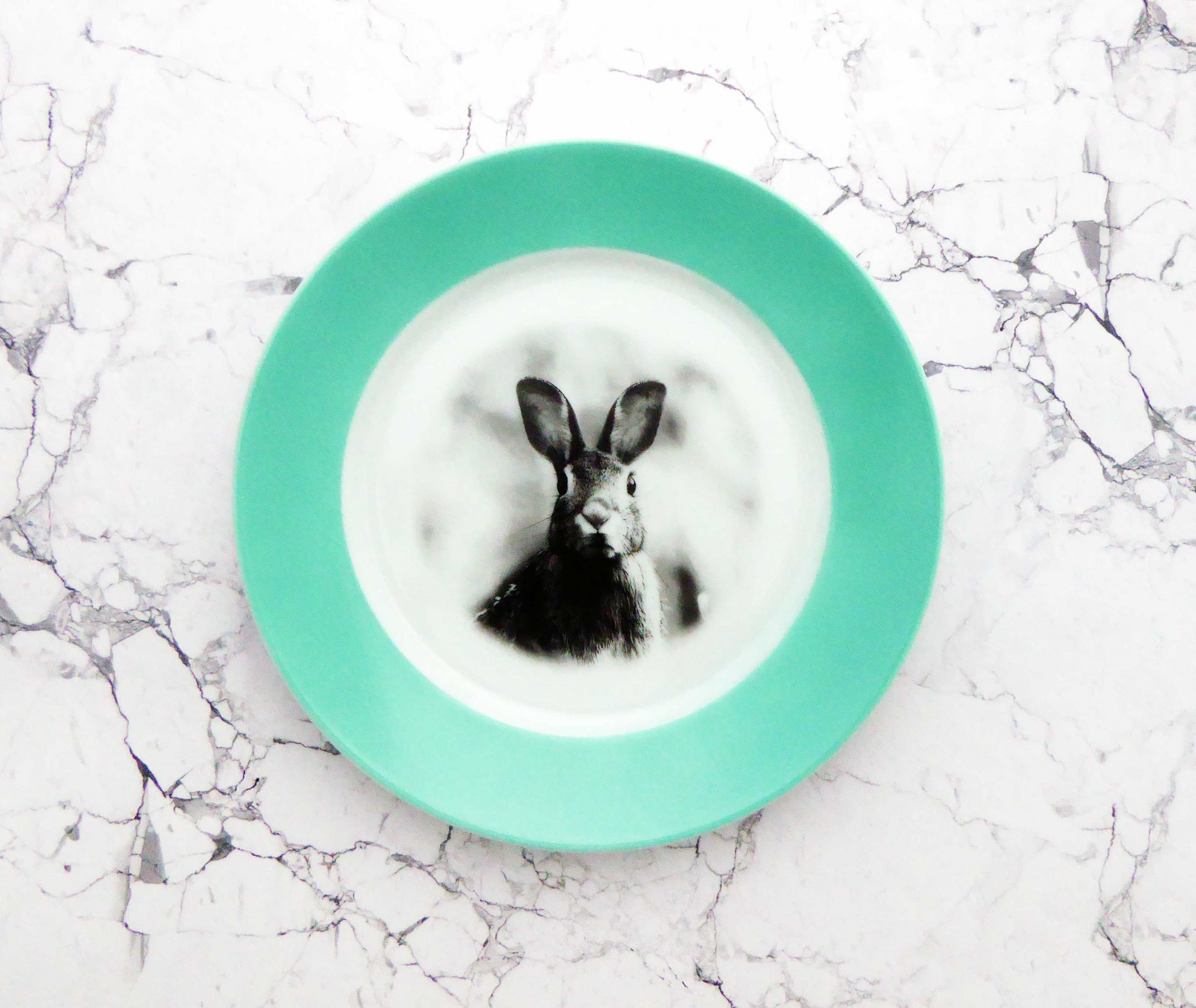 Wandteller Hase vintage Herr Fuchs Teller Blau Türkis 19cm Wohnen