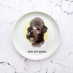 Wandteller Typo you are great Herr Fuchs  Pudel Hund 10cm mini vintage