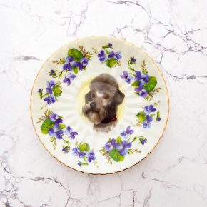 Wandteller Herr Fuchs Pudel Hund 14cm mini vintage Gold Blume Lila