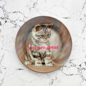 Wandteller you are great Herr Fuchs Katze neon vintage 19cm neonpink