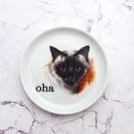 Wandteller Typo oha weiß Herr Fuchs  Katze 10cm Wohnen vintage