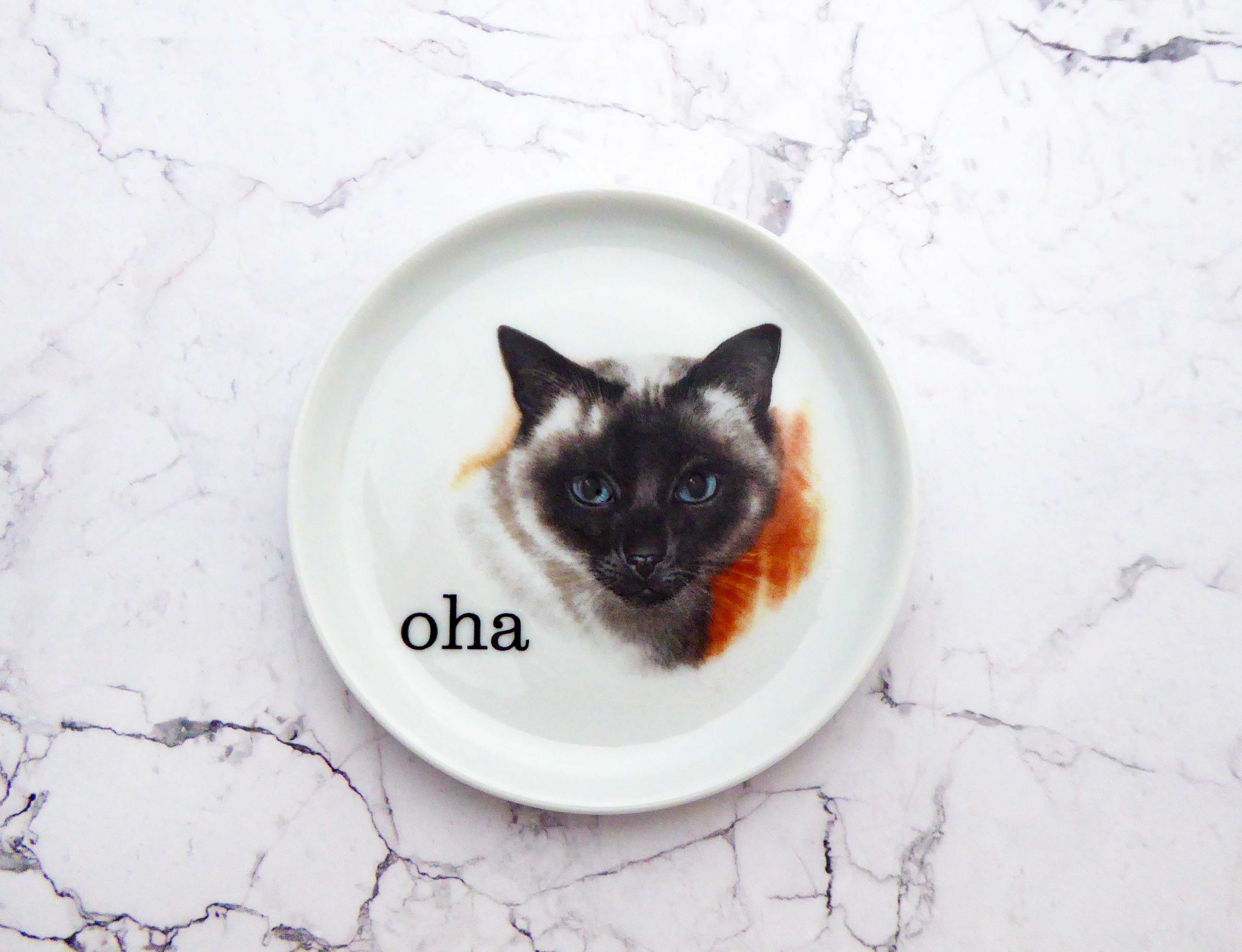 Wandteller Typo oha weiß Herr Fuchs Katze 10cm Wohnen vintage