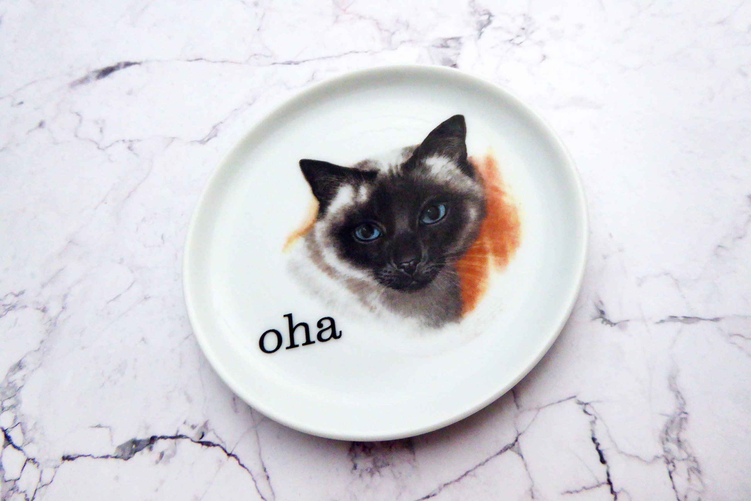 Wandteller Typo oha weiß Herr Fuchs Katze 10cm Wohnen vintage – Bild 2