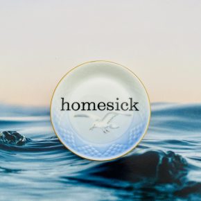 Wandteller homesick vintage Herr Fuchs klein mini  Meer 10cm Möwe blau gold