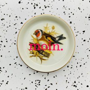Wandteller Herr Fuchs ahoi Typo Vögel mini 11cm neon Diestelfink vintage gold