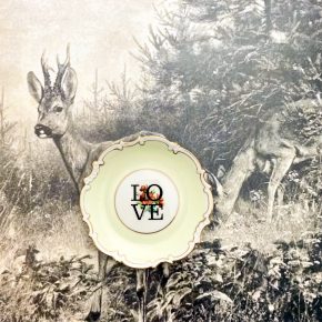 Wandteller Herr Fuchs Typo Love Gold mini 10cm Blumen wohnen vintage pastell mint