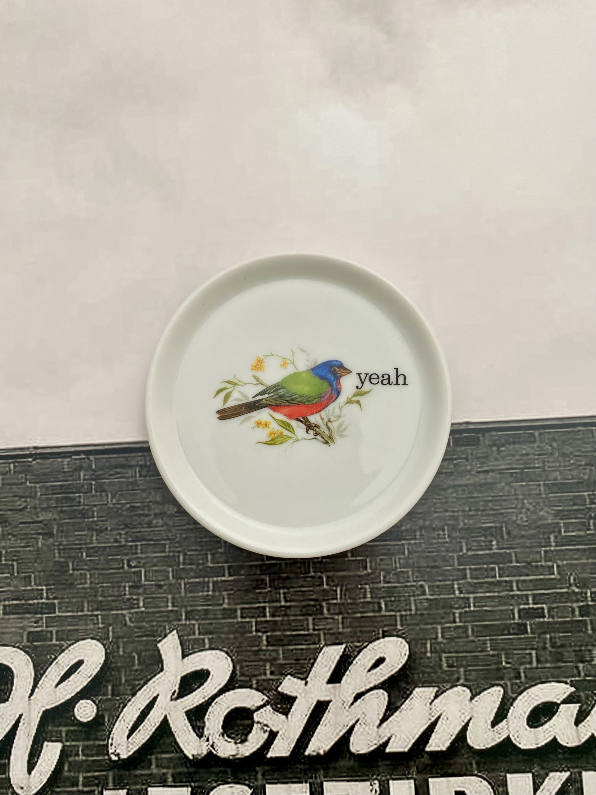 Wandteller Herr Fuchs yeah Typo Vogel mini 10cm Bunt vintage Wohnen weiß – Bild 3