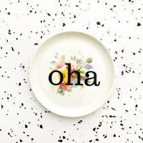 Wandteller oha Typo Herr Fuchs mini 10cm Blume bunt Schnack vintage weiß