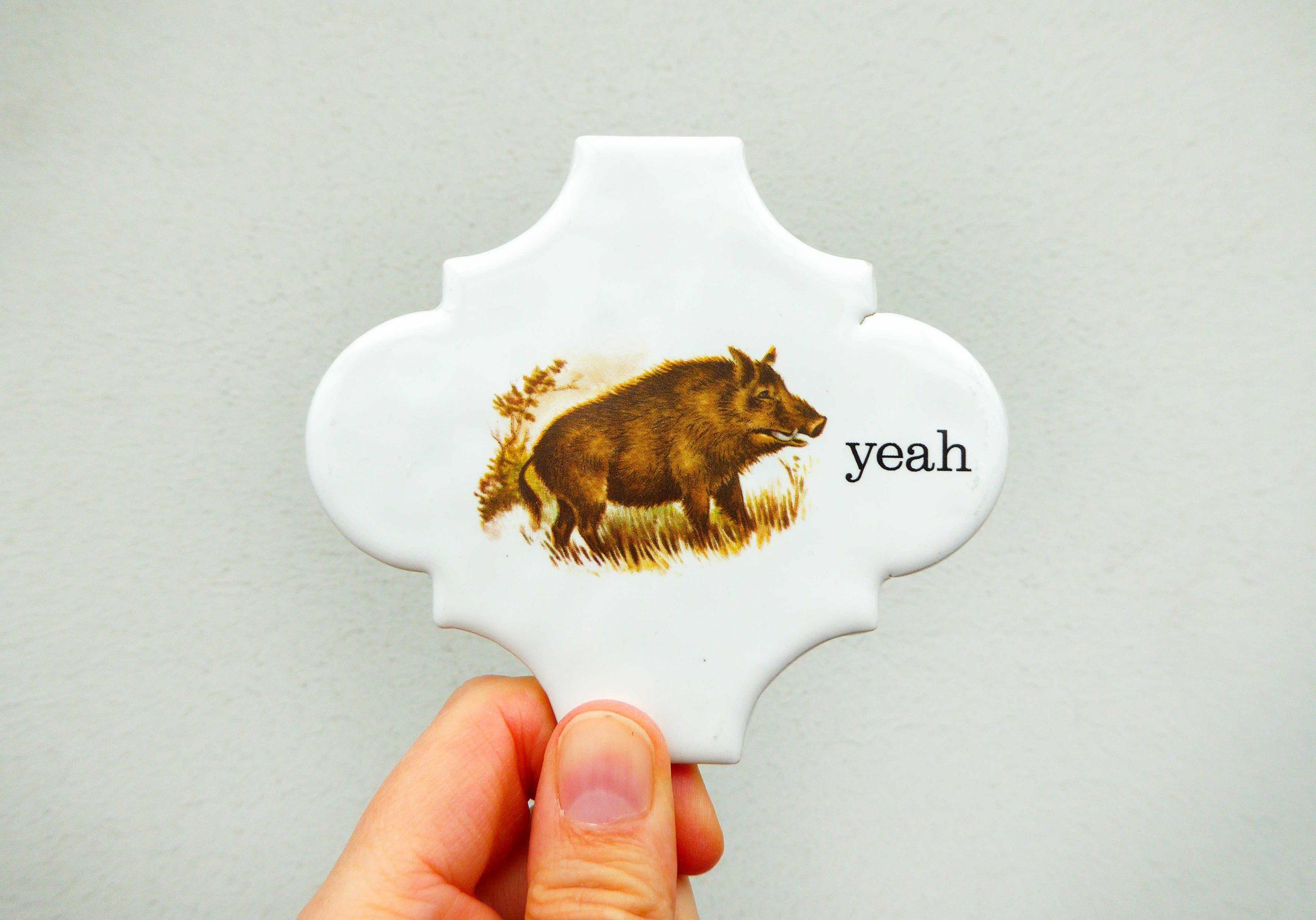 Wandteller Herr Fuchs yeah Typo Wildschwein mini 10cm vintage Kachel