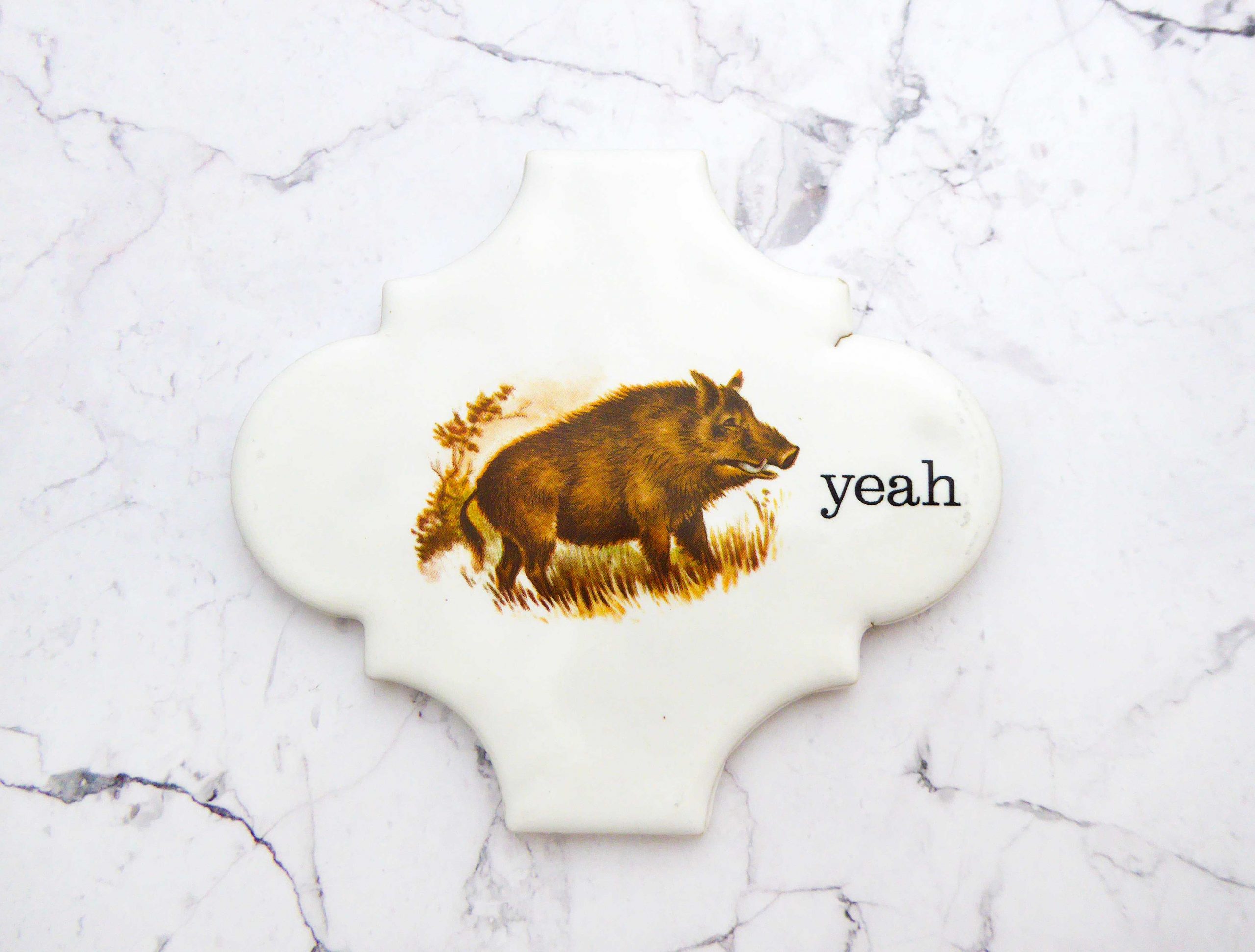 Wandteller Herr Fuchs yeah Typo Wildschwein mini 10cm vintage Kachel – Bild 3