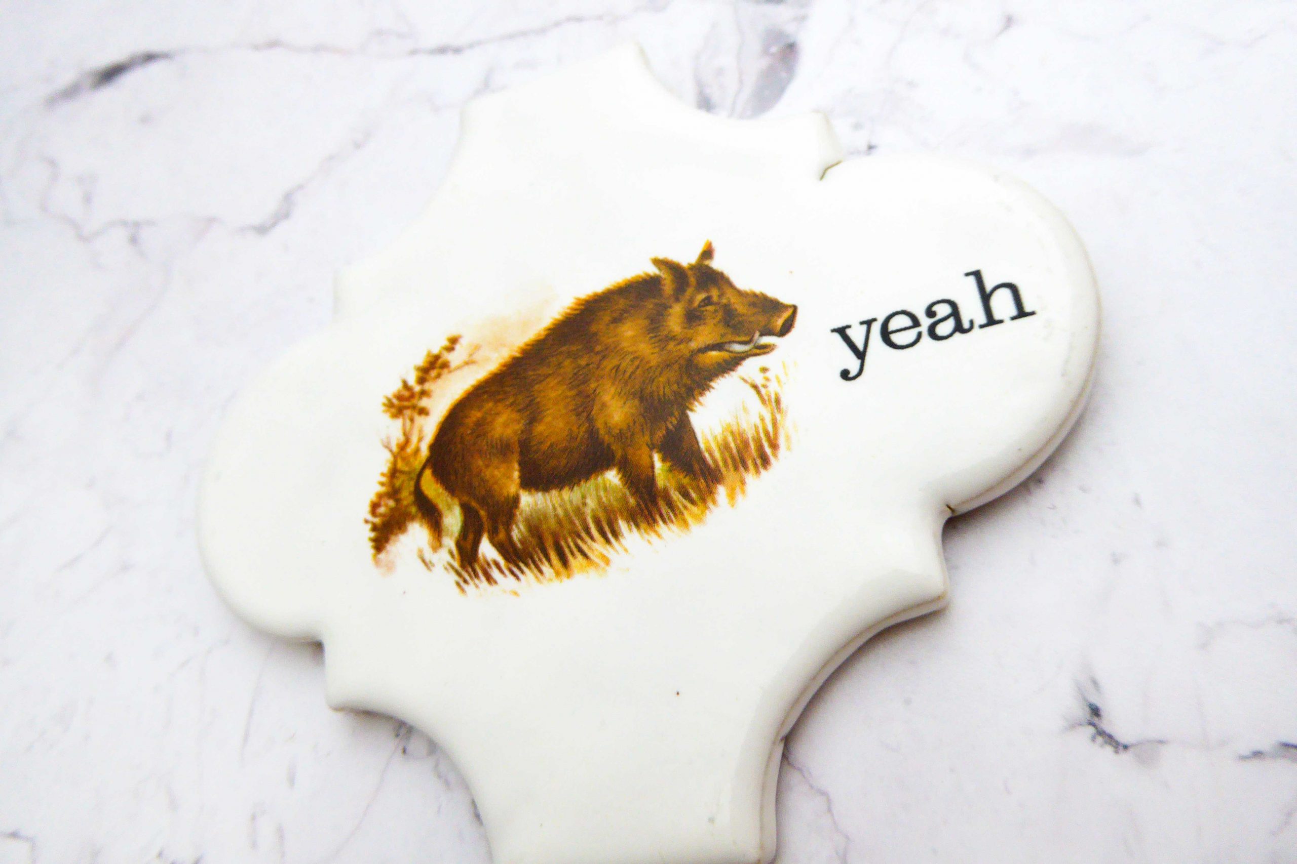 Wandteller Herr Fuchs yeah Typo Wildschwein mini 10cm vintage Kachel – Bild 2