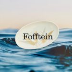 Wandteller Fofftein Typo Herr Fuchs mini 12cm gold Muster plattdeutsch oval