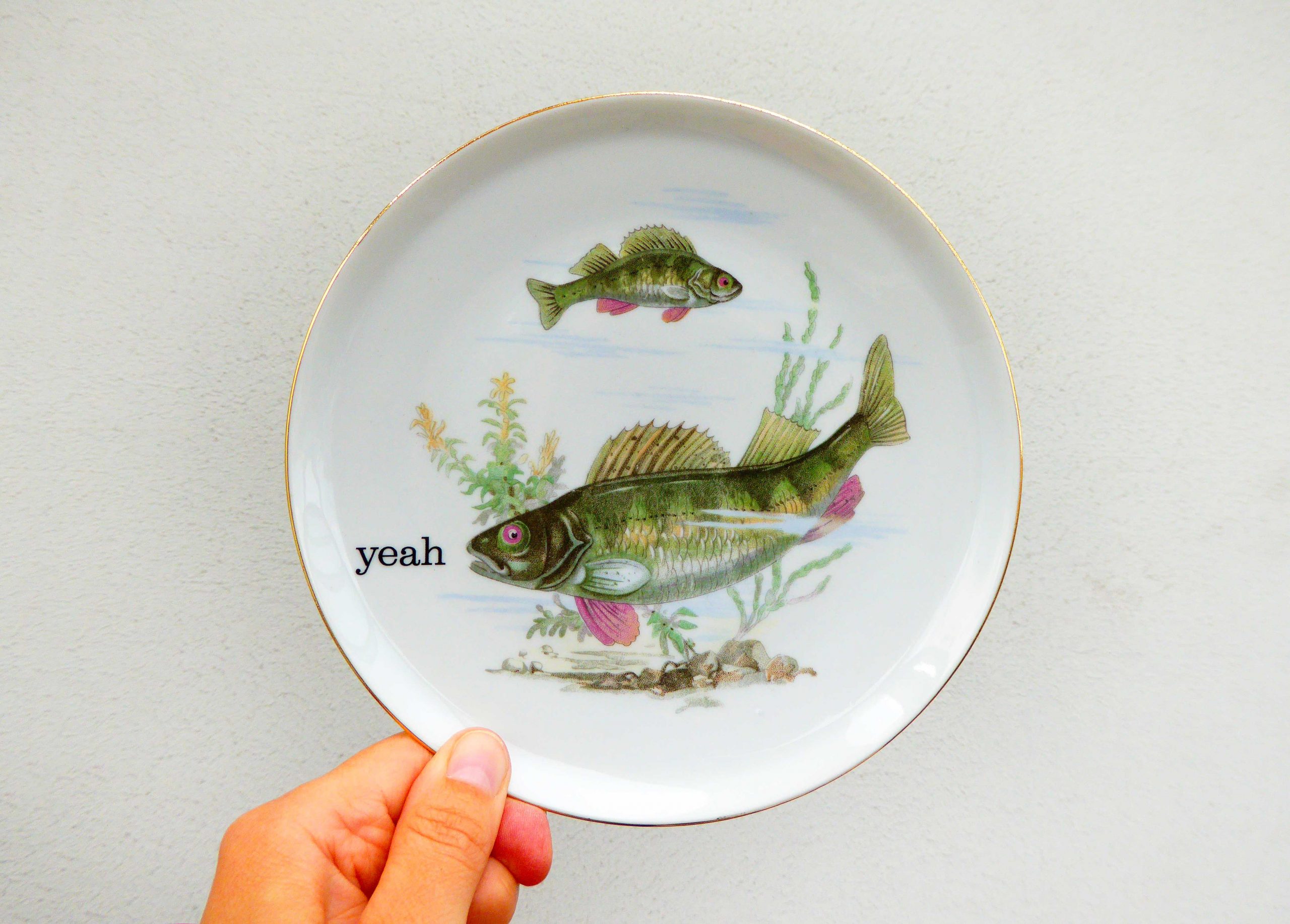 Wandteller Herr Fuchs Typo yeah 18cm Fisch gold Wohnen Meer vintage Grün Rosa Fische