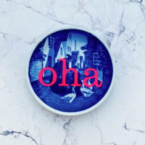 Wandteller Typo oha vintage Herr Fuchs mini 9cm Blau neonpink weiß Dorf Gänse