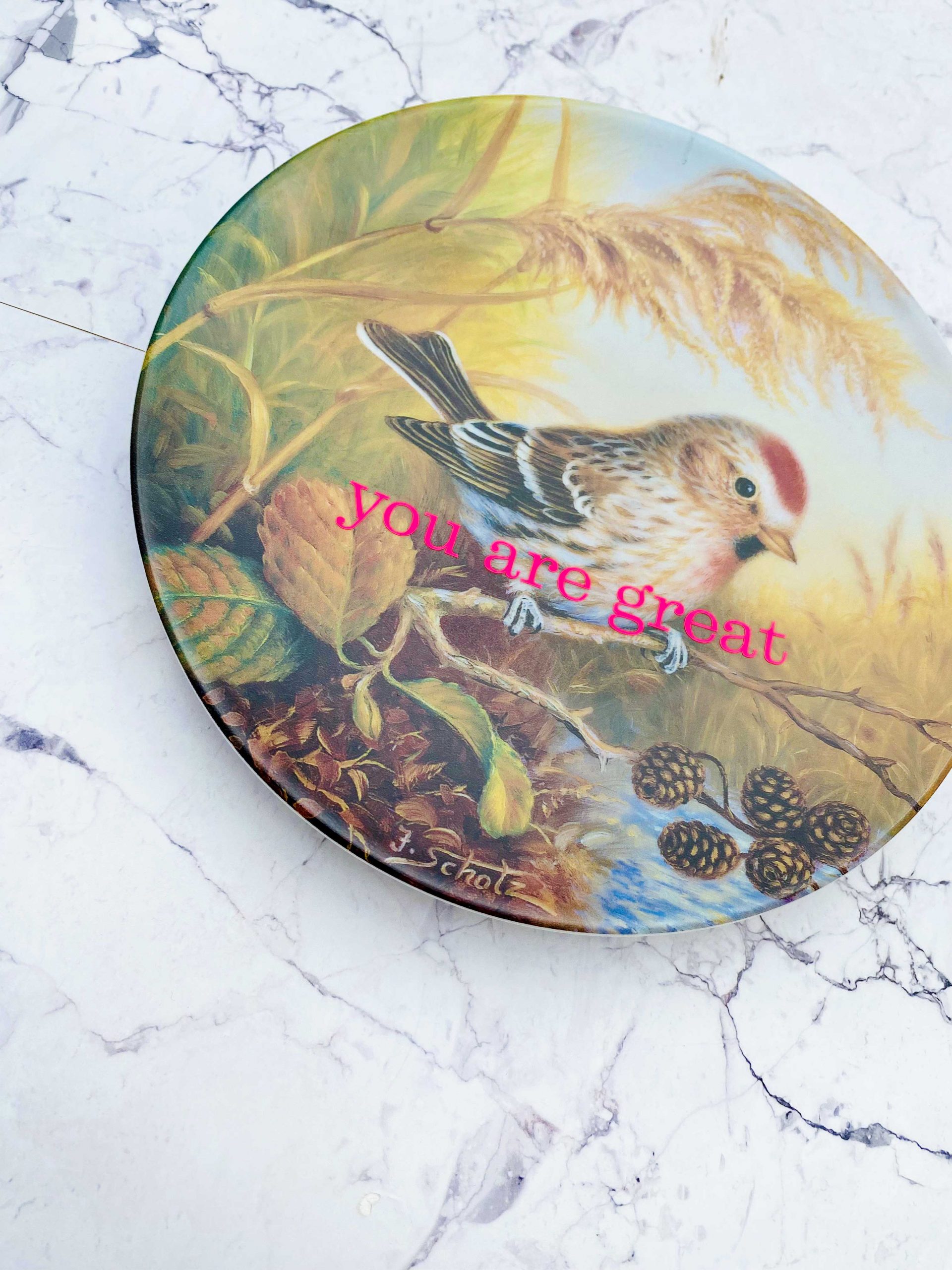 Wandteller you are great Herr Fuchs Vogel 19cm neonpink vintage wohnen Birkenzeisig – Bild 2