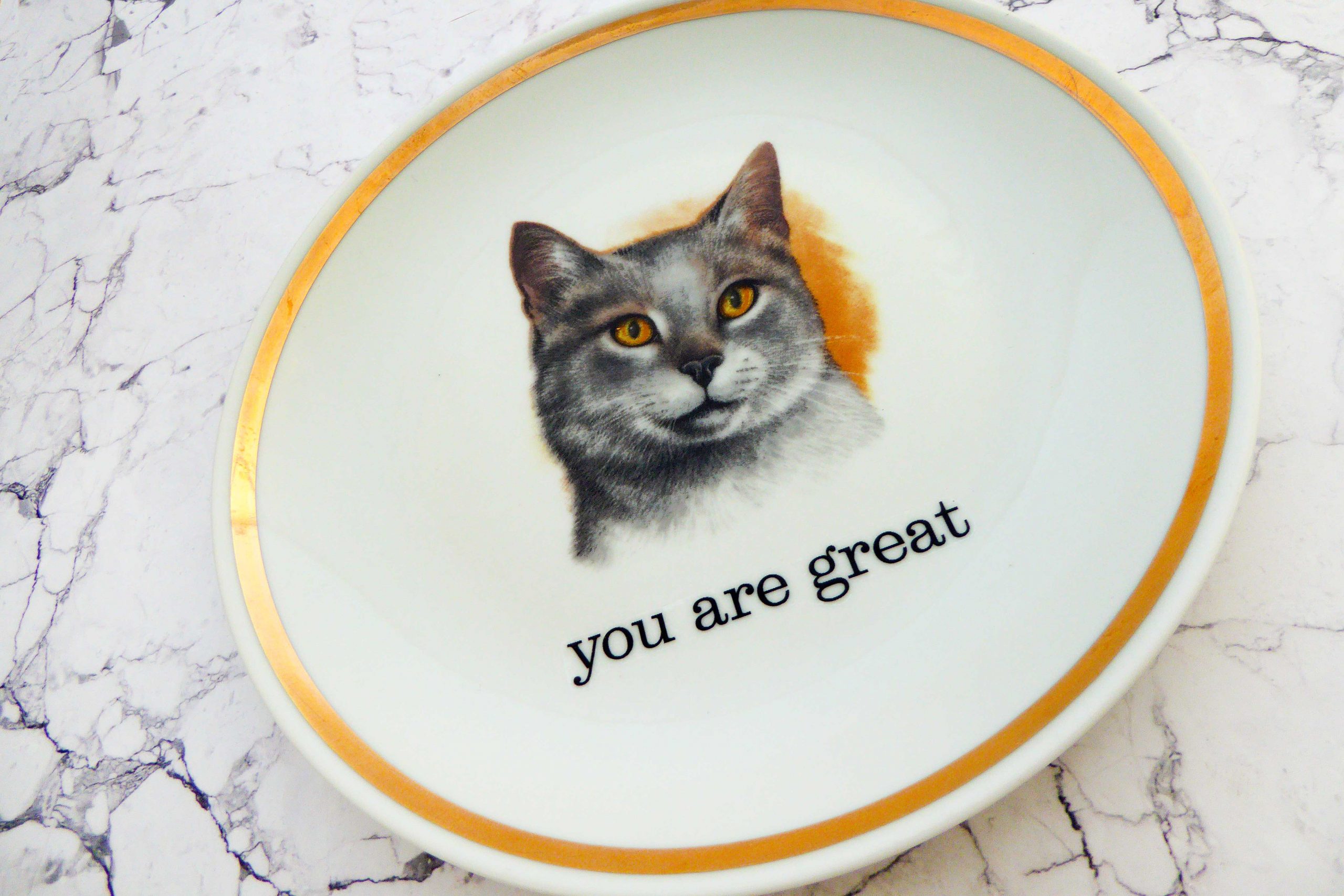 Wandteller Typo you are great Goldrand Herr Fuchs Katze 19cm vintage Cat – Bild 2