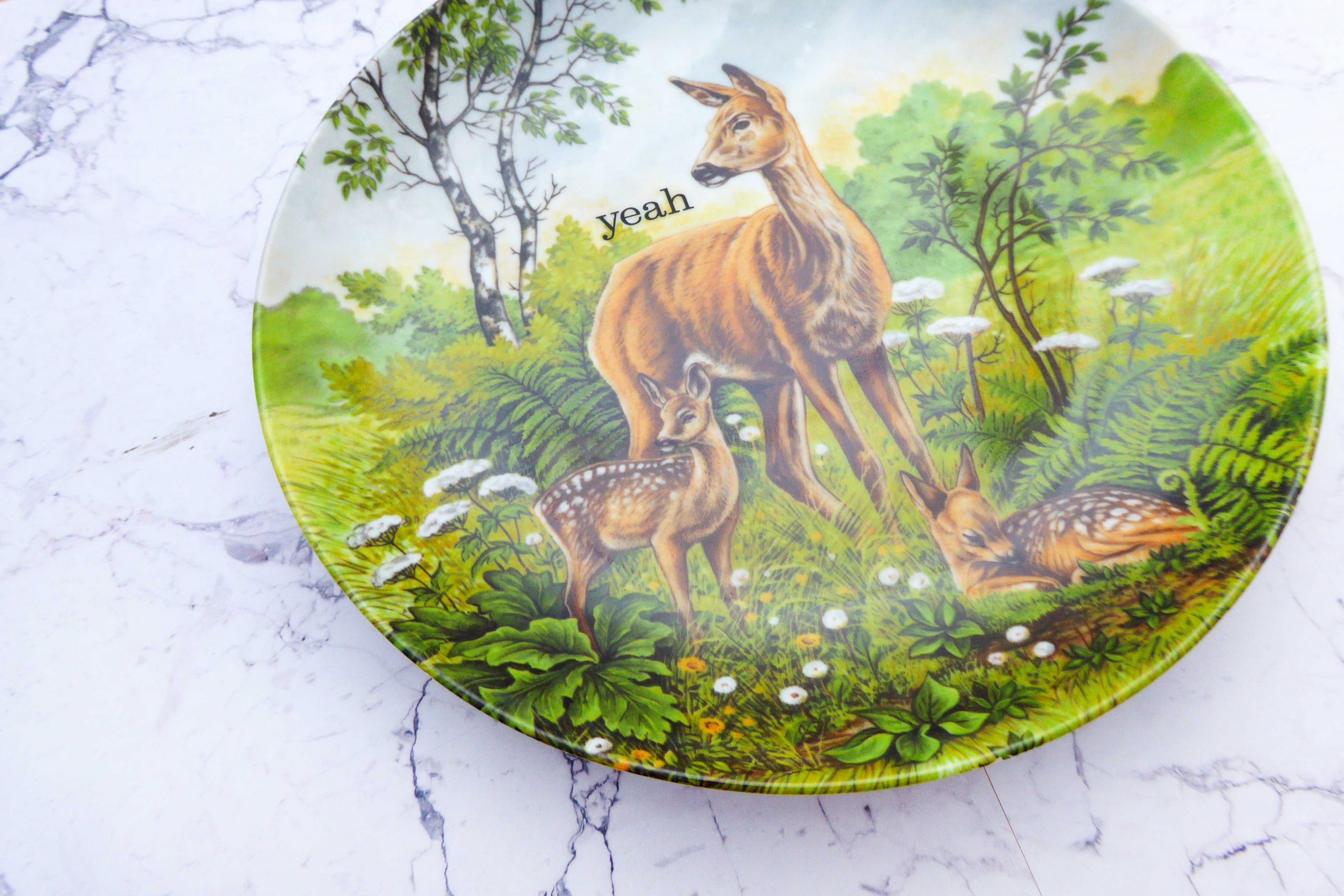 Wandteller Typo yeah vintage Herr Fuchs Teller Reh 22cm Wald grün Wohnen – Bild 2