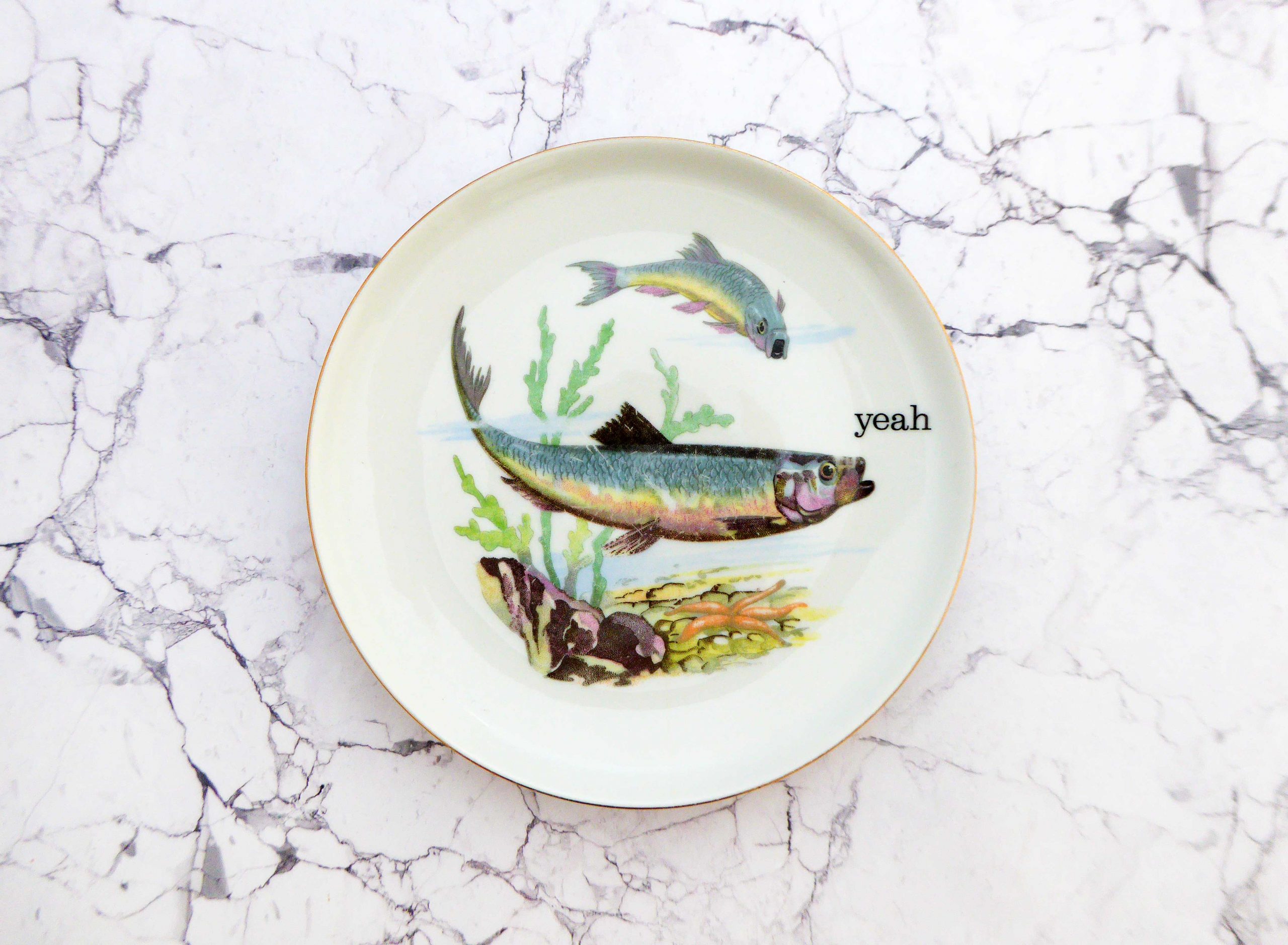 Wandteller Herr Fuchs Typo yeah 18cm Fisch gold Wohnen Meer vintage Grün Blau Fische