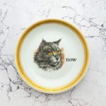 Wandteller Typo now Goldrand Herr Fuchs  Katze 19cm vintage Cat jetzt