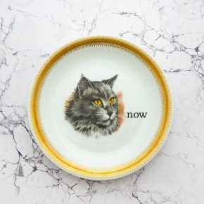 Wandteller Typo now Goldrand Herr Fuchs  Katze 19cm vintage Cat jetzt