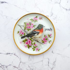 Wandteller Herr Fuchs yeah Typo Wohnen Vogel mini rosa 10cm vintage Bird