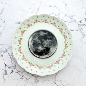 Wandteller Teller Herr Fuchs Mond weiß rosa vintage 19cm Galaxy Wohnen Blume