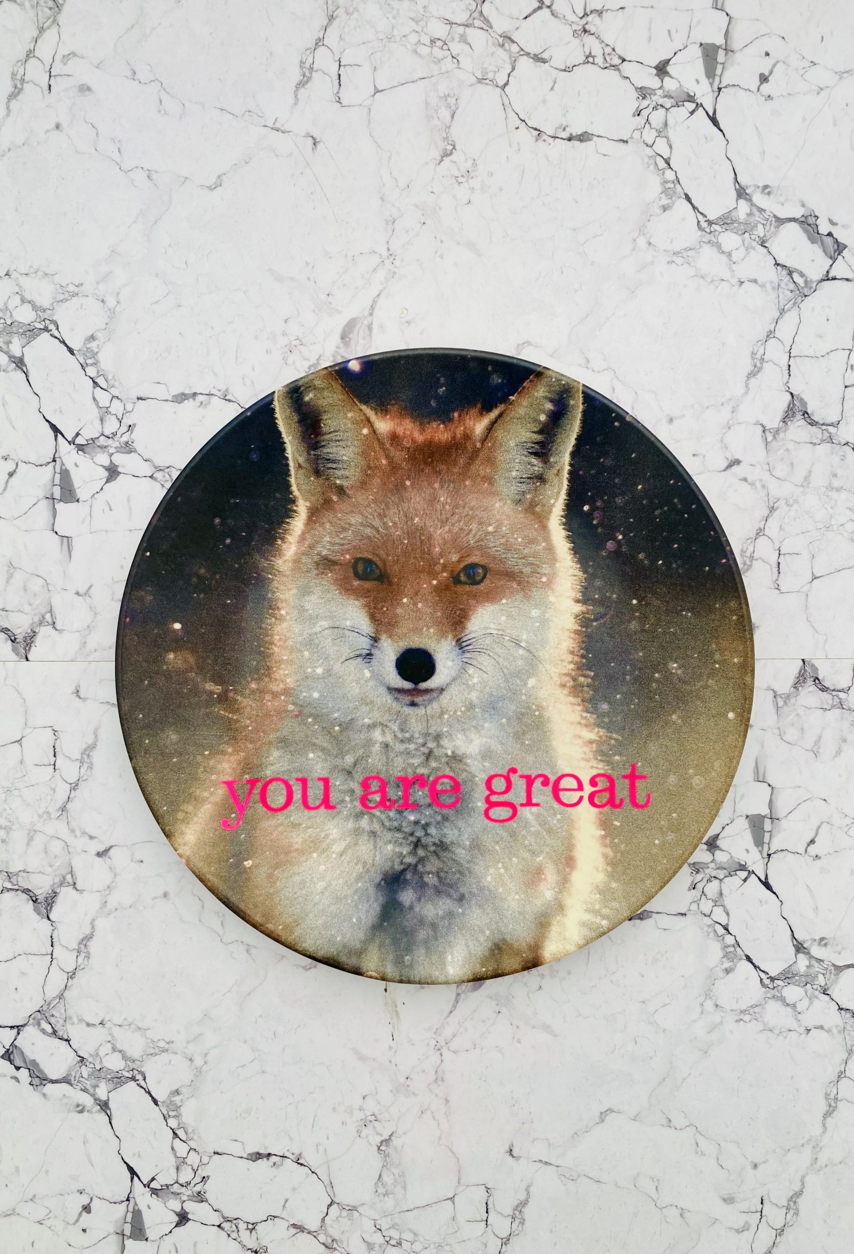 Wandteller you are great Herr Fuchs Fuchs 24cm neonpink vintage wohnen fox neon