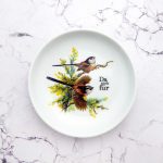 Wandteller Typo Da nich für Herr Fuchs mini 12cm Vogel Vögel Bunt vintage schnack